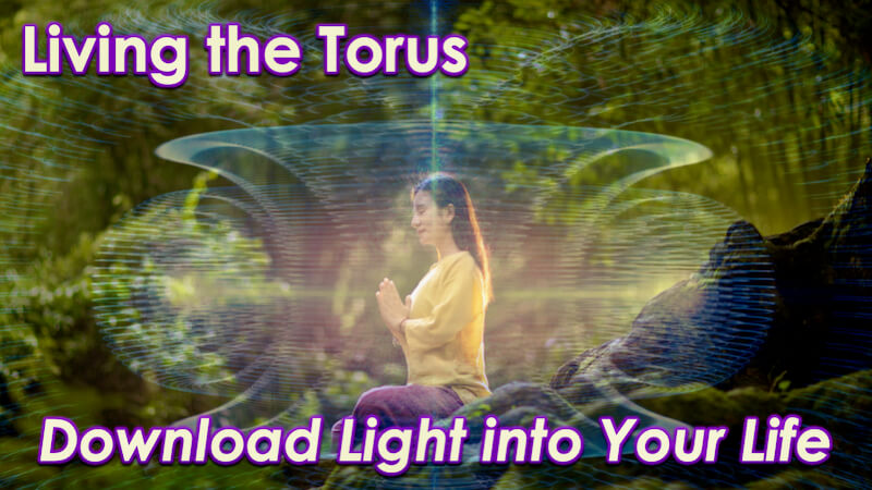 How to Thrive in Your Torus by Openhand