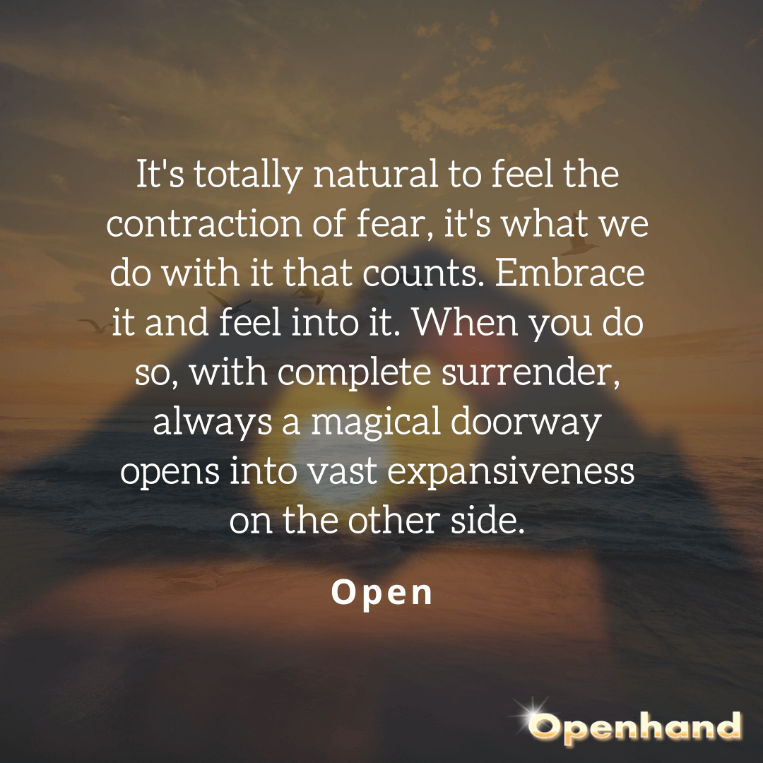 Confonting fear with Openhand 