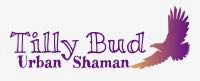 Urban Shaman - Tilly Bud - Openhand Community Connector