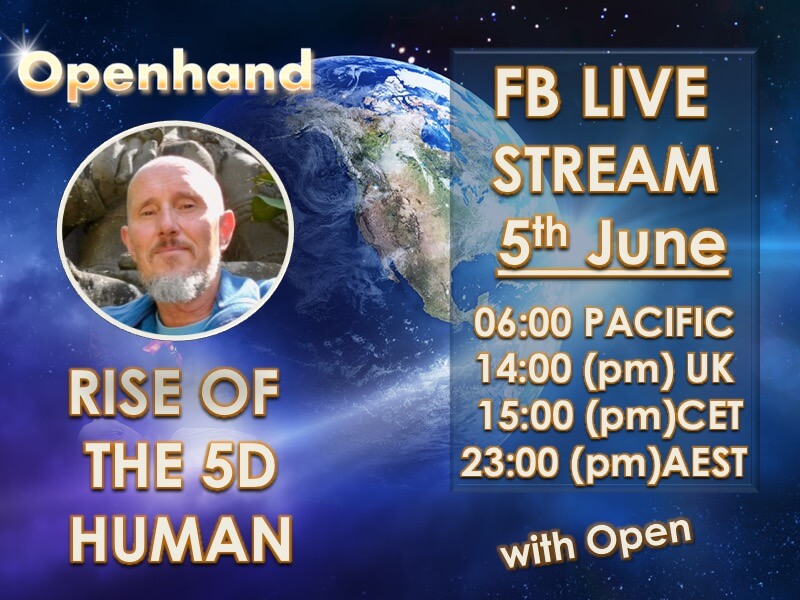 Rise 5D Human with Openhand