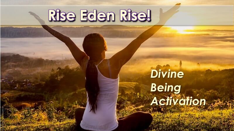 Rise Eden Rise 21 with Openhand