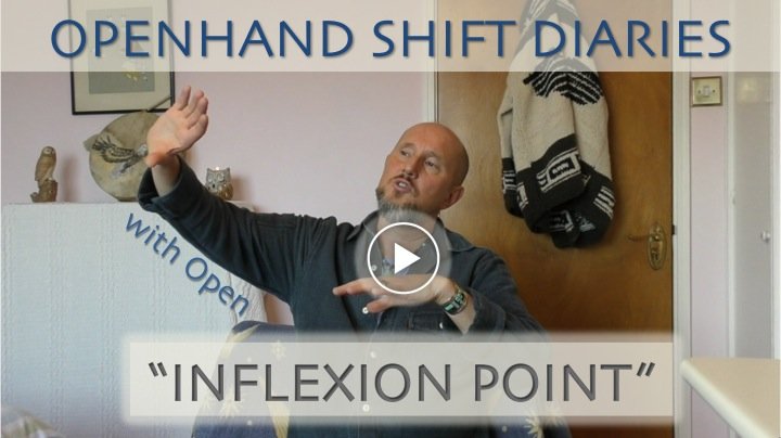 Shift Diaries (Inflexion Point)