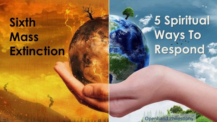 Sixth Mass Extinction, 5 Spiritual Ways to Respond