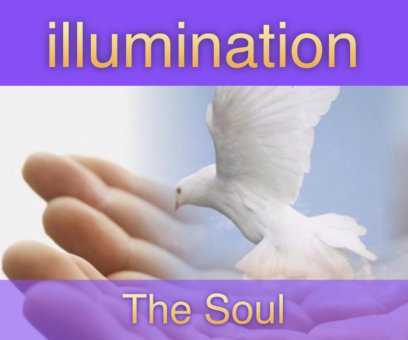 Nature of The Soul | Openhand