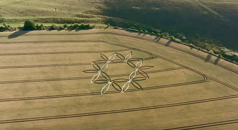 Stargate Crop Circle