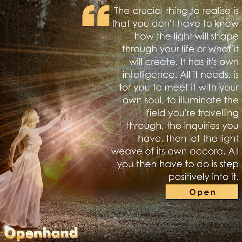 Step into Light with Openhand