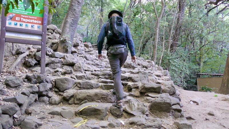 Mexico 26: Steps by Openhand