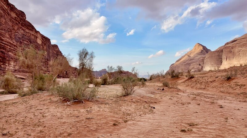 Arabia 26: Stunning! by Openhand