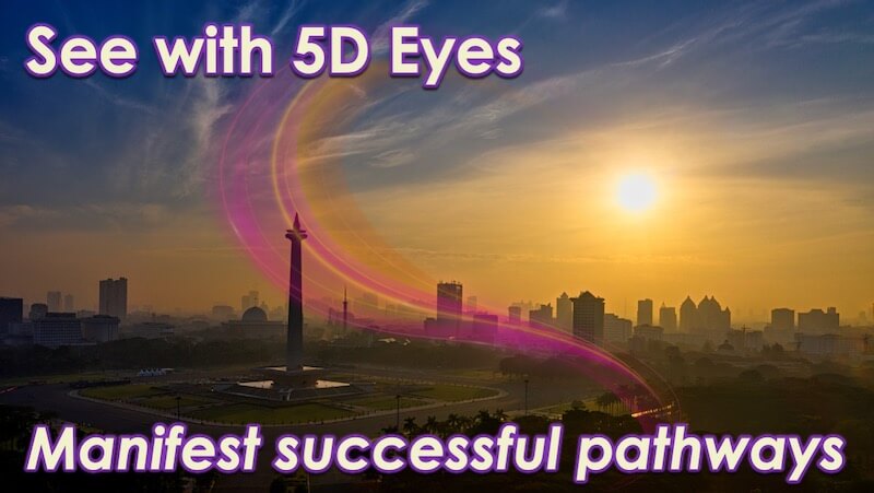 Successful 5D Pathways by Openhand