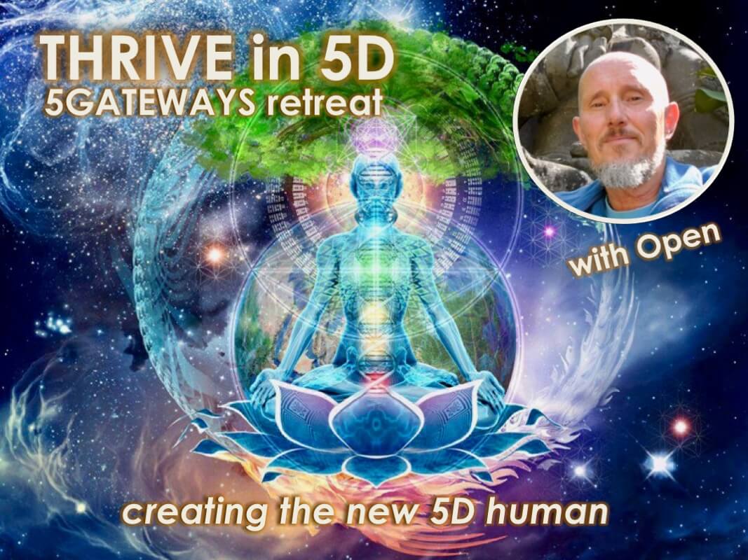 THRIVE in 5D with Openhand