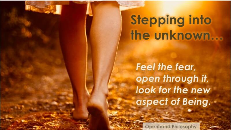 Stepping into the Unknown with Openhand