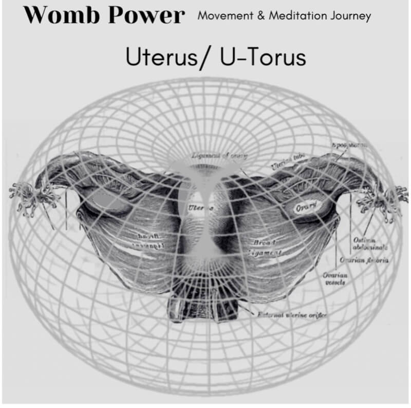 Uterus/U-Torus with Openhand