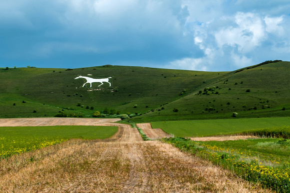 White Horse