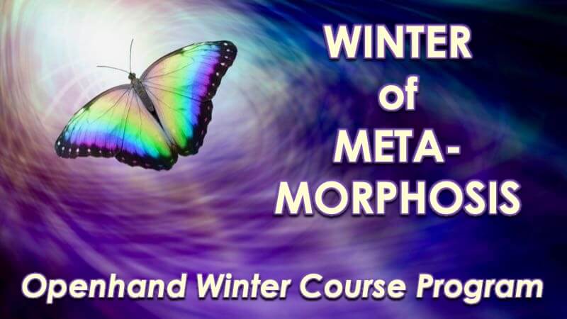 Winter Metamorphosis with Openhand