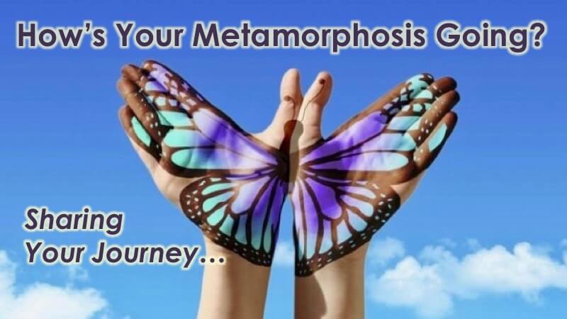 Your Spiritual Metamorphosis with Openhand