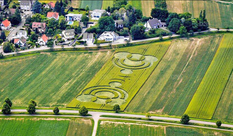 Crop Circle Blaesheim near Strasbourg, Alsace