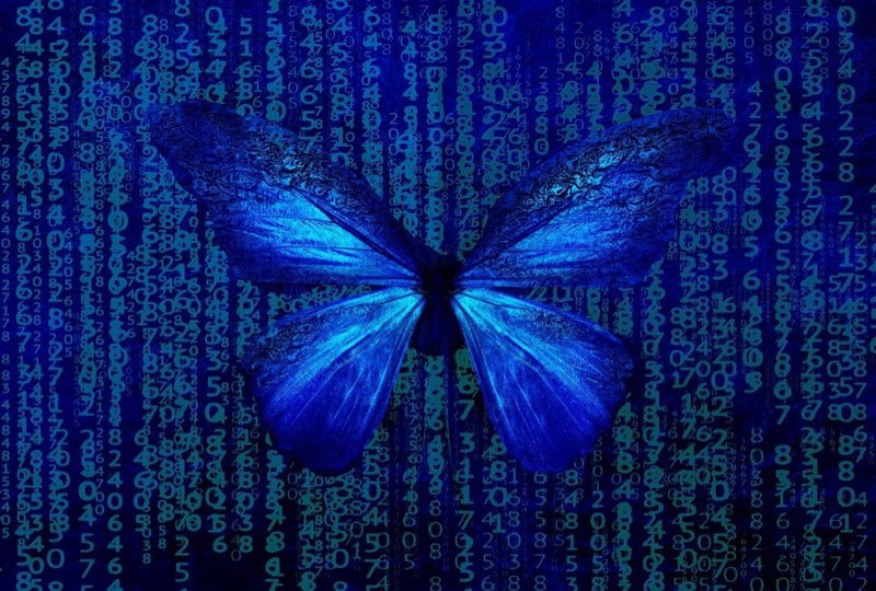Butterfly Matrix