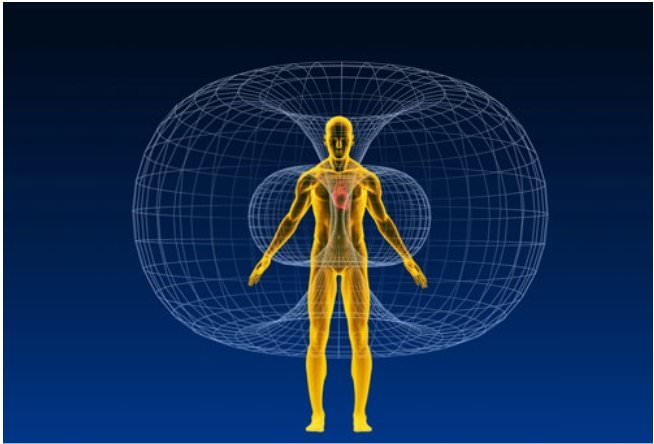 Biomagnetic field