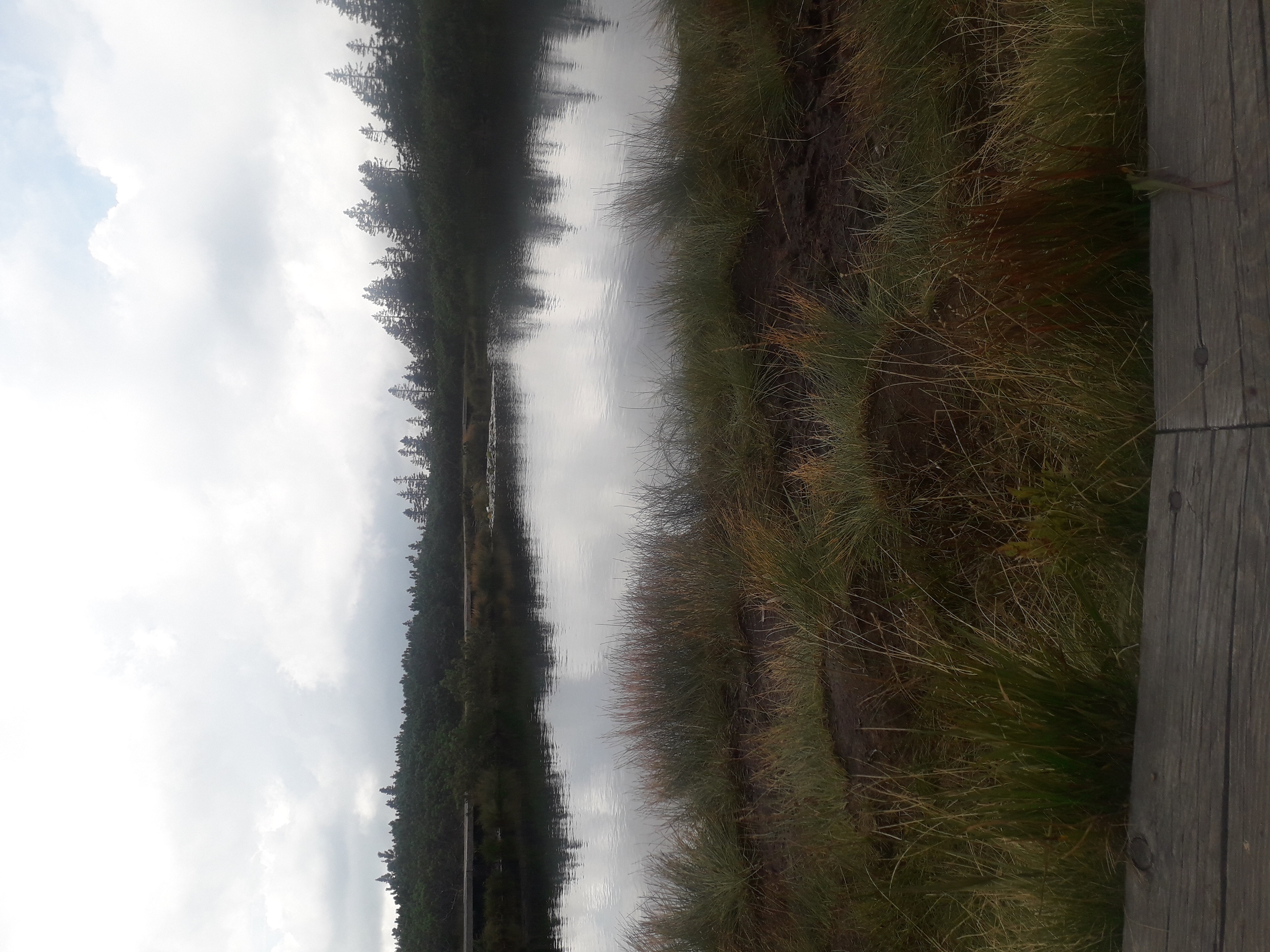 Water and Earth, clouds on the sky, people and Sun.