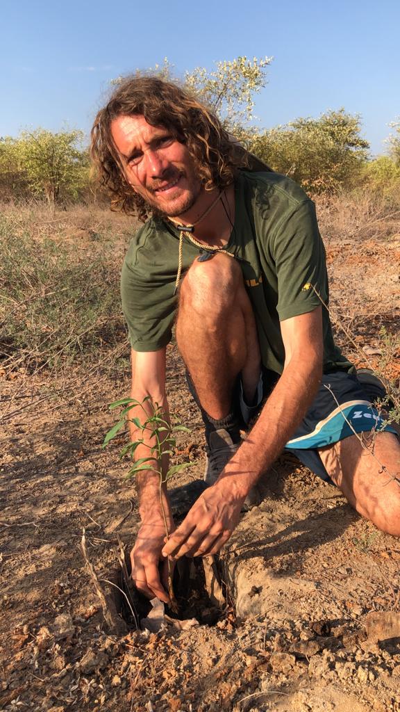 Baobab planting 