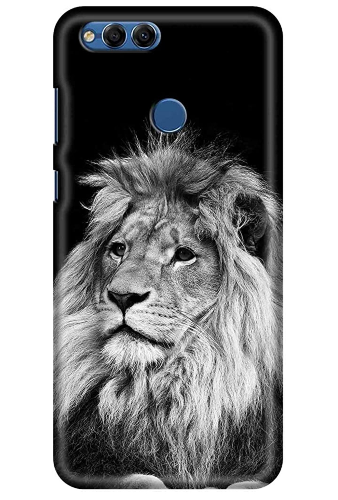 Lion image 
