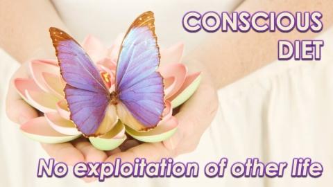 A Conscious Diet by Openhand