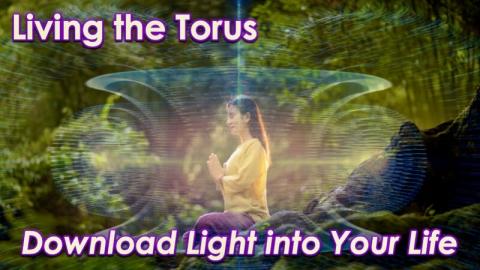 How to Thrive in Your Torus by Openhand