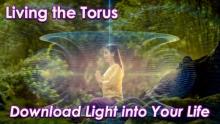 How to Thrive in Your Torus by Openhand