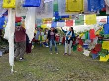 India 23 - Prayer Flags