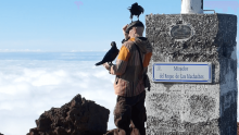 Ravens on the La Palma Volcano with Openhand