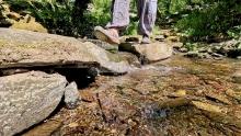 Divinicus 25: Stream