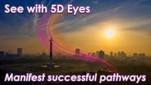 Successful 5D Pathways by Openhand
