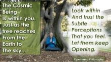 How the Cosmic Divine Being Within You is Like a Tree